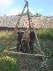 Pierwy etap budowy podci�gu zako�czony :))))))))