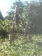 Podkosi� trza by�o co aby ziele w zad nie zagl�da�o :))))))))))