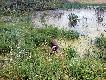 <a href="http://www.youtube.com/watch?v=qdyQQFyDlZw";
target=_blank>A by�o to tak kliknij
