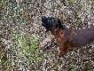 <a href="http://www.youtube.com/watch?v=qdyQQFyDlZw";
target=_blank>A by�o to tak kliknij
