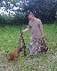 Trzy kaczki wynios�a z wody Wena, trzy Flet, a jedna spad�a na „suche”. <a href="http://www.youtube.com/watch?v=fSfBVSFR0aQ" target=_blank>Aport Weny</a>. A ta <a href="http://www.youtube.com/watch?v=xzNUkGL89D8" target=_blank>spad�a dalej.</a> By�y emocje, bo to pierwsze kaczki naszych posokowc�w ;-)