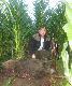Dziki pustosz� kukurydz�. Dla tego to by� ostatni poranek. Po kuli 30-06 winchestera poszed� kilka metr�w. Darz b�r! 