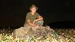 14-08-2011 Pe�niowy dzik. Z wielk� trudno�ci� porusza� si� poprzez sparali�owany lewy bieg. (3)
