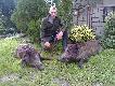 nocka z �adnym efektem