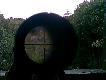 wysz�y dwa! ten drugi mia� wi�cej szcz�cia! d�ugo je obserwowa�em!