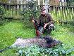 Postanowi�em sp�dzi� ca�� noc w polu przy pi�knej sierpniowej pe�ni. Ok. godziny 2.00 �w. Hubert pokaza� mi tego dziczka. Jest to m�j 83-ci dzik (drugi w tym sezonie).