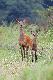 15-08-2011