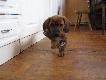 B�d� m�dry i zabierz suczce:)
Nie mia�em serca:)