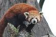 ZOO Wroc�aw