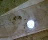 Kto� dawno temu przystrzeliwa� flinte na brzozie;))