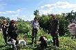psy dosta�y medale i karm� od sponsora