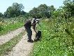 Aport krzy��wki...sfotografowany z s�siedniego stanowiska...