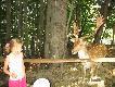 	>> LE�NY PARK NIESPODZIANEK << Ustro�