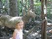 	>> LE�NY PARK NIESPODZIANEK << Ustro�