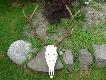 http://media.lowiecki.pl/zdjecia/wyswietl.php?nr=293754&dszer=563&dwys=422&nocount=