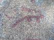 Foto 87:
�bik. Wyt�piony w Skandynawii w �redniowieczu..