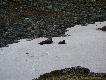 Foto 3/3.
A gdy przygrzeje S�o�ce, i upa� przekracza +5'C, mo�na si� po�o�yc na �niegu..