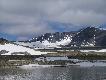 Foto 3/11.
Pi�kne, upalne lato. To w�a�nie tutaj niejaka 'alette' mia�a pomagac GIN�CYM LISOM POLARNYM.. Ola�a je ciep�ym moczem :-(