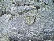 Foto 3/15.
Od�upane serduszko.