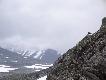 Foto 3/16.
Pardwa g�rska w typowym �rodowisku, w �rodku lata.