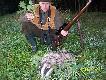 Pierwszy ja�wiec w tym sezonie strzelony z 8-eczki..(amo.cz.sierra)....Pozdrawiam..DB....RAJMUND..:-))))