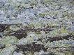 Foto 3/23:
�niegu�y.