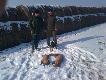 Gora Smogorzewska zagroda przy wyp�dzonych lisach
