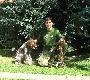 pierwsze spotkanie Rafy z dzik� kaczk� i moja pierwsza krzy��wka w tym sezonie:) A tak mi si� nie chcia�o rano wsta�...    