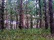�o� w�drownik , Jest po stronie ko�a Orlik ,,kt�re graniczy z moim ko�em ,,Drop,, Szczecin . Miejsce spotkania Swochowo przy s-3.