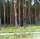 �o� w�drownik , Jest po stronie ko�a Orlik ,,kt�re graniczy z moim ko�em ,,Drop,, Szczecin . Miejsce spotkania Swochowo przy S-3.
