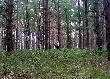 �o� w�drownik , Jest po stronie ko�a Orlik ,,kt�re graniczy z moim ko�em ,,Drop,, Szczecin . Miejsce spotkania Swochowo przy S-3.