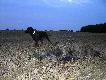 Lipiec - 4:30 rano:-)