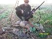 Poranny podch�d zako�czony pierwsz� s. koz� i kolejnym liskiem.....Pozdrawiam....DB....Rajmund..