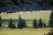 Rykowiskowe klimaty. Las�wka. ��ki na warstwicy. Hucza od ryku, ca�e �aki i las.... Pi�kne miejsce na jelenie gody...