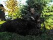 z polowa
wity Hubert by askawy. 10-tak nieregularny, II kl, tusza po rykowisku 113kg...