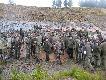 Pami�tkowe zdj�cie. Polowanie czterech K� Wis�a 2011 ( 84 strzelby)