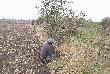 Nad Kana�em Bucowskim-towarzysz�cy mi siostra Beatka i pan Marek.