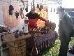 Kt�ra nalewk� by wybra�