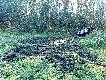 przeora�y drog�!!!  :]