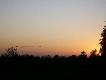 Mia� by� �uraw o zachodzie s�o�ca, ale �ywe odlecia�y, wi�c jest ten stalowy z budowy autostrady!