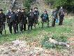 Pokot skromny-m�j  lis. Jelenie w trzecim p�dzeniu posz�y do ty�u, dziki w czwartym zosta�y w miocie ale i tak by�o pi�knie. Wis�a 23 pa�dziernik 2011 rok