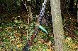 Polowanie 23.10.2011