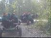 .......nic doda� nic uja�.Taki transport  w trakcie zbior�wki ma to ,cu�'