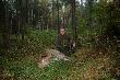 By� byk, jest i �ania. Plan idzie do przodu :-)