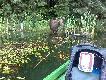 Spotkanie na rybach z bykiem:) Jez.Kale�skie na Pojezierzu Drawskim,zdj�cie wykona� tel.,m�j Kolega Przemek.M. Darz B�r