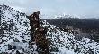 Najlepiej obserwuje si� teren w dole kiedy wyjedzie, wyjdzie si� powy�ej granicy lasu.