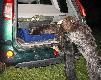 Kaja!! ja te� chc� zobaczy�
