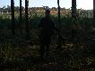 Ten sam lisek w troch� ciemniejszym zdj�ciu 06.11.2011