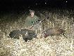 04.11.11. godzina 20:15,�ciernia kukurydzy. Drugi dublet w tym sezonie(2x kula) dziki nr 15 i 16 :D