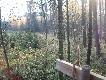widok z ambony. 5.11.11. 